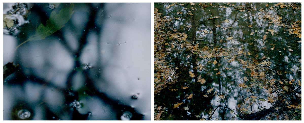Hastings Diptych 2