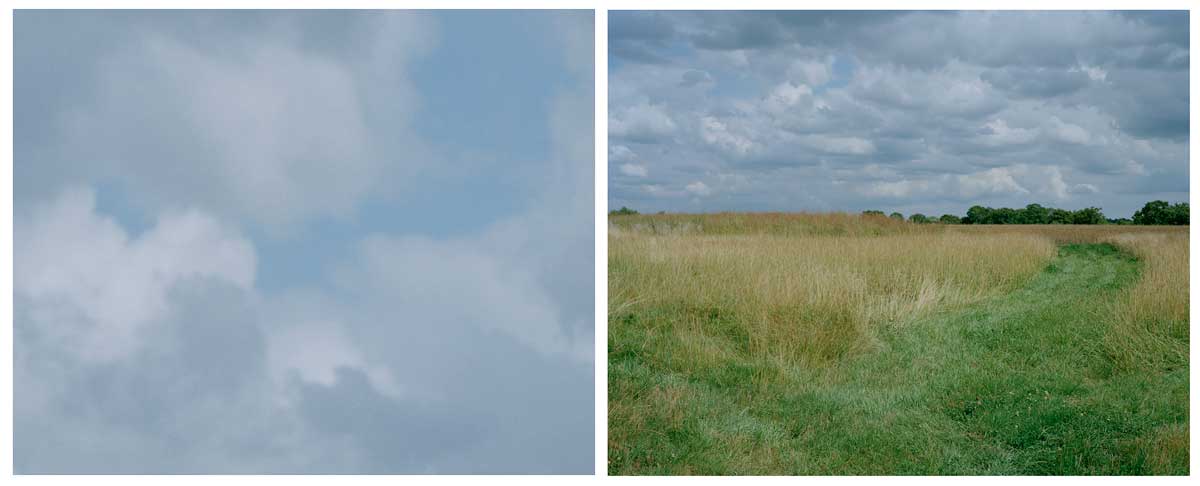 bosworth-diptych-01