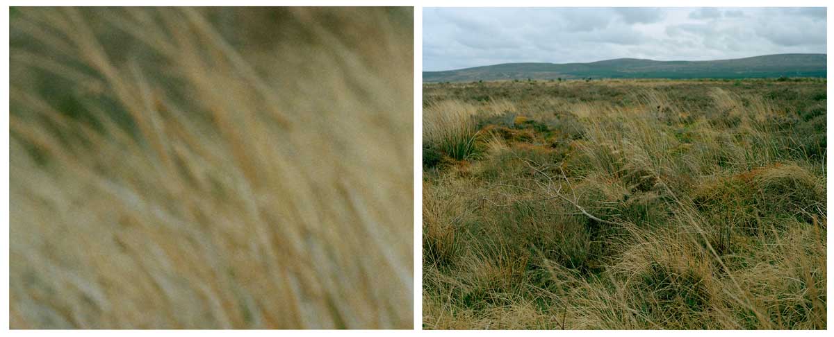 culloden-diptych-05