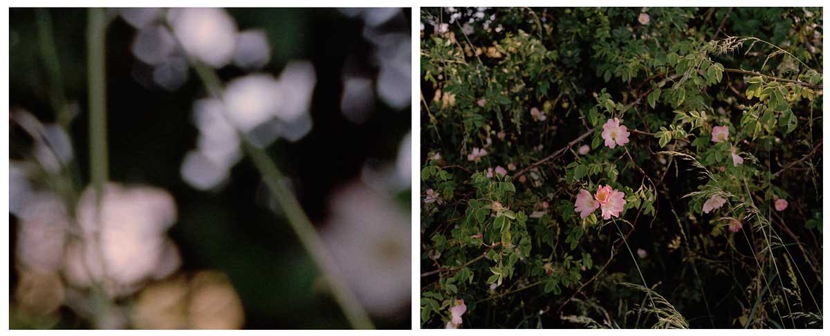 naseby-diptych-04