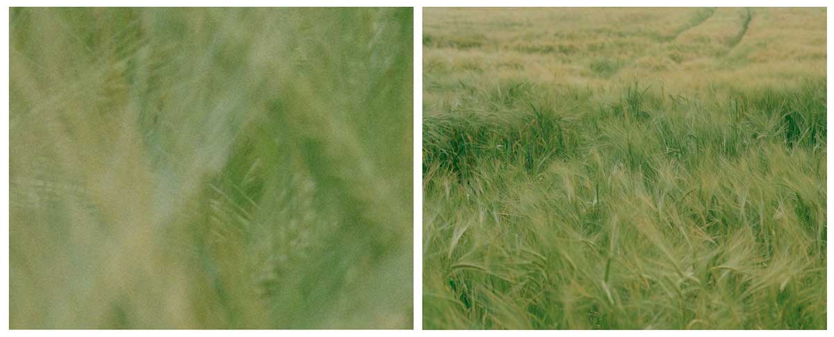 naseby-diptych-05