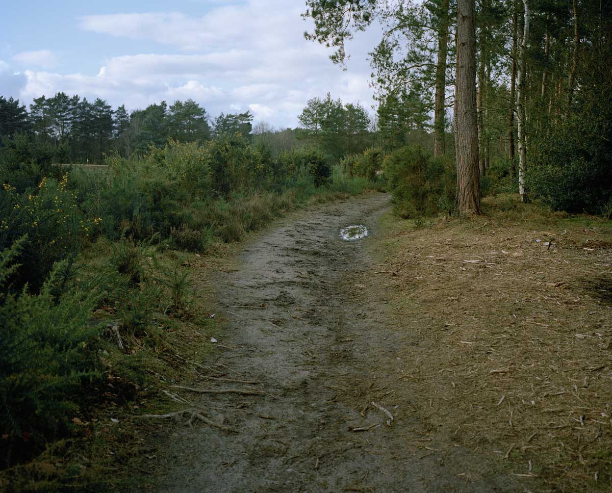 Small Puddle