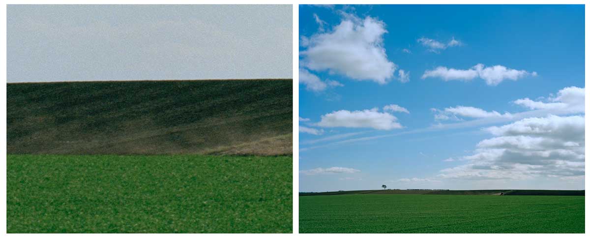 Towton Diptych 5