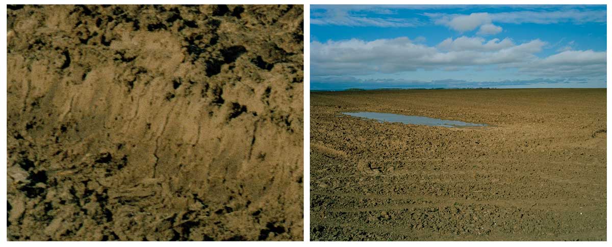 Towton Diptych 3