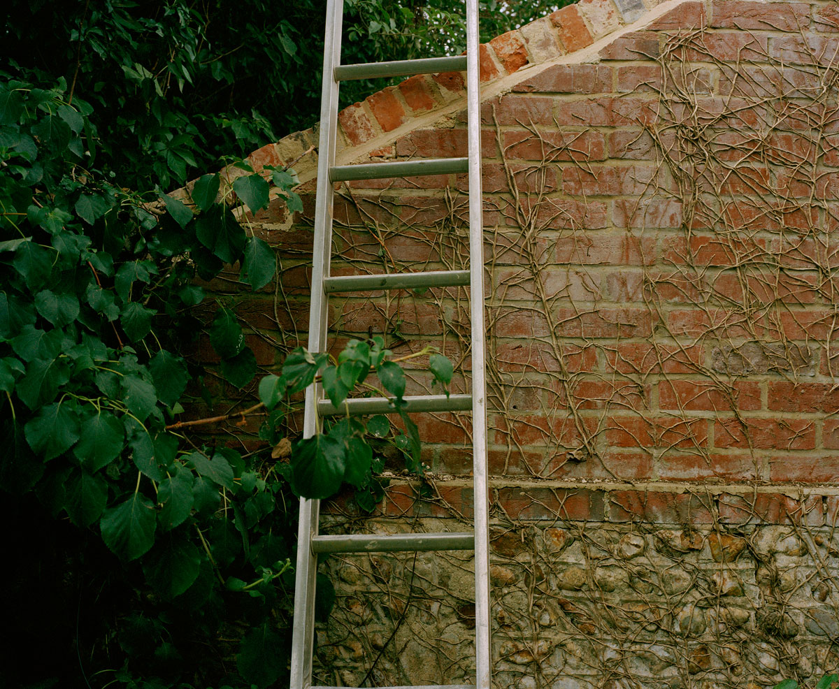 wall-and-ladder